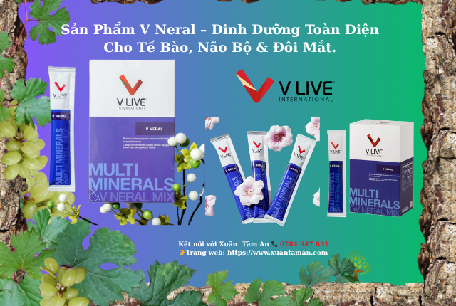 V Neral – Dinh Dưỡng Toàn Diện Cho Tế Bào, Não Bộ & Đôi Mắt.